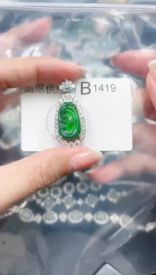 【闪购商品】翡翠颈饰未镶嵌赠皮绳1419