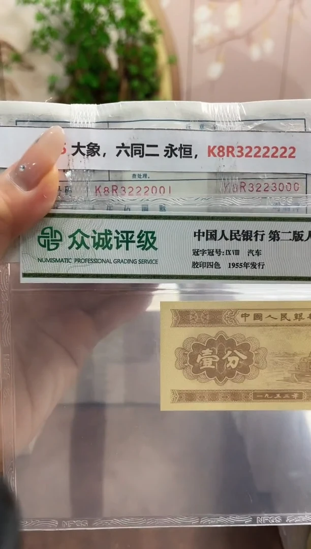 M  05 大象，六同二 永恒 K8R3222222