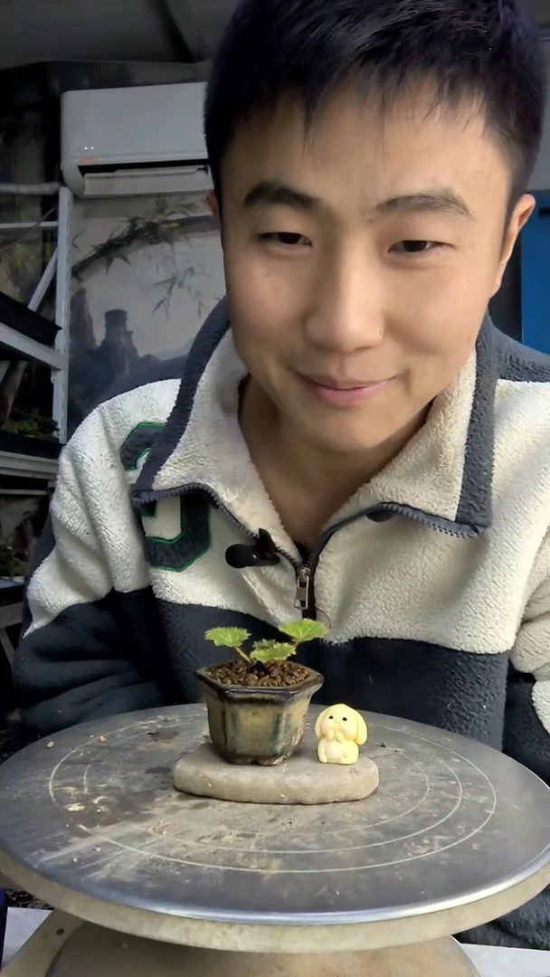 咸**泪中青园艺一物一拍花119