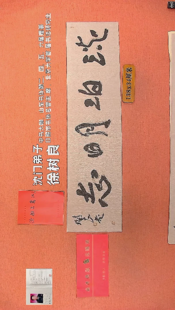 【闪购商品】书法142        徐树良书法作品