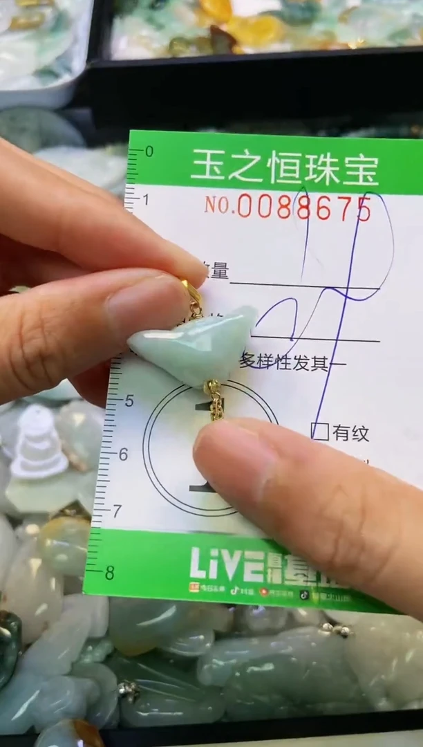 翡翠未镶嵌颈饰闪购0088675