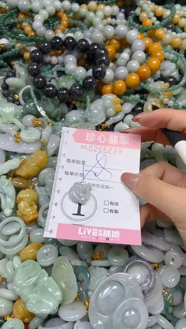 翡翠未镶嵌颈饰闪购0266289