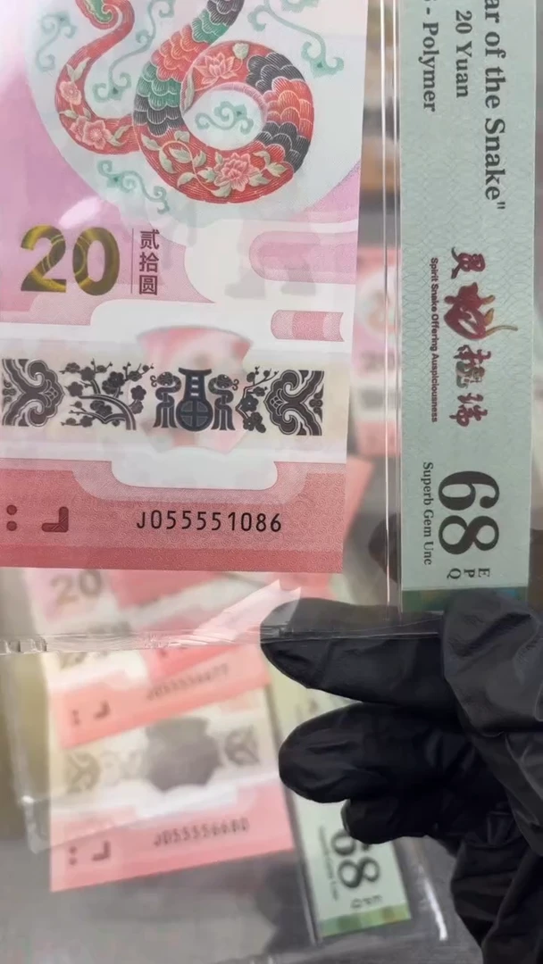 塑料蛇钞pmg055551086福利T