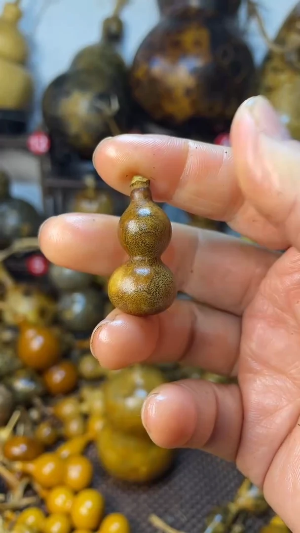 【闪购商品】葫芦葫芦葫芦葫芦葫芦