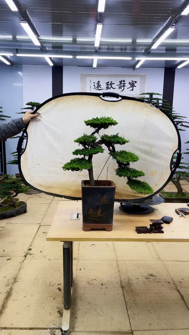 【闪购商品】0000000000