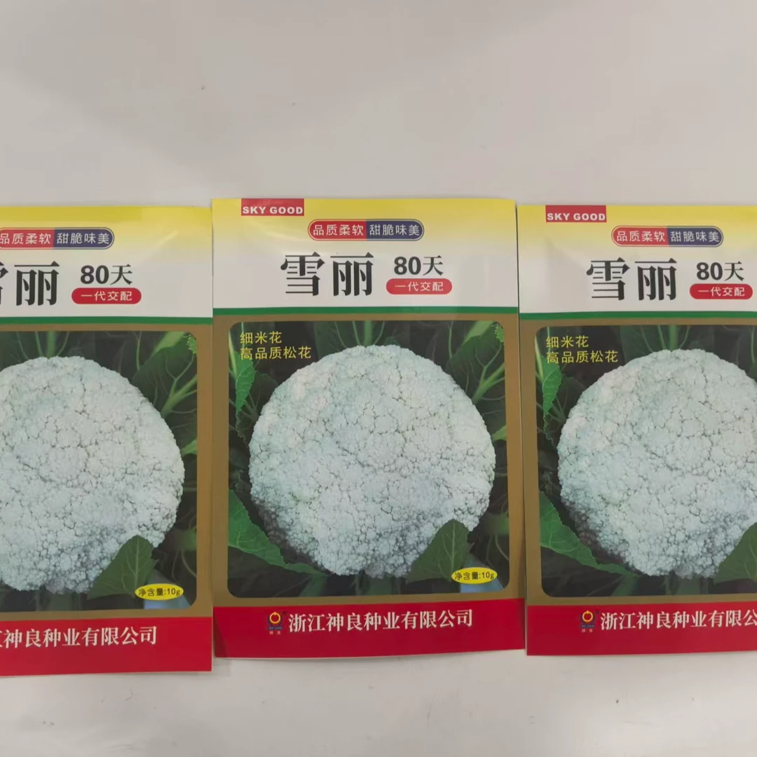 雪丽松花菜种子 花球雪白美观，甜脆好吃，品质佳