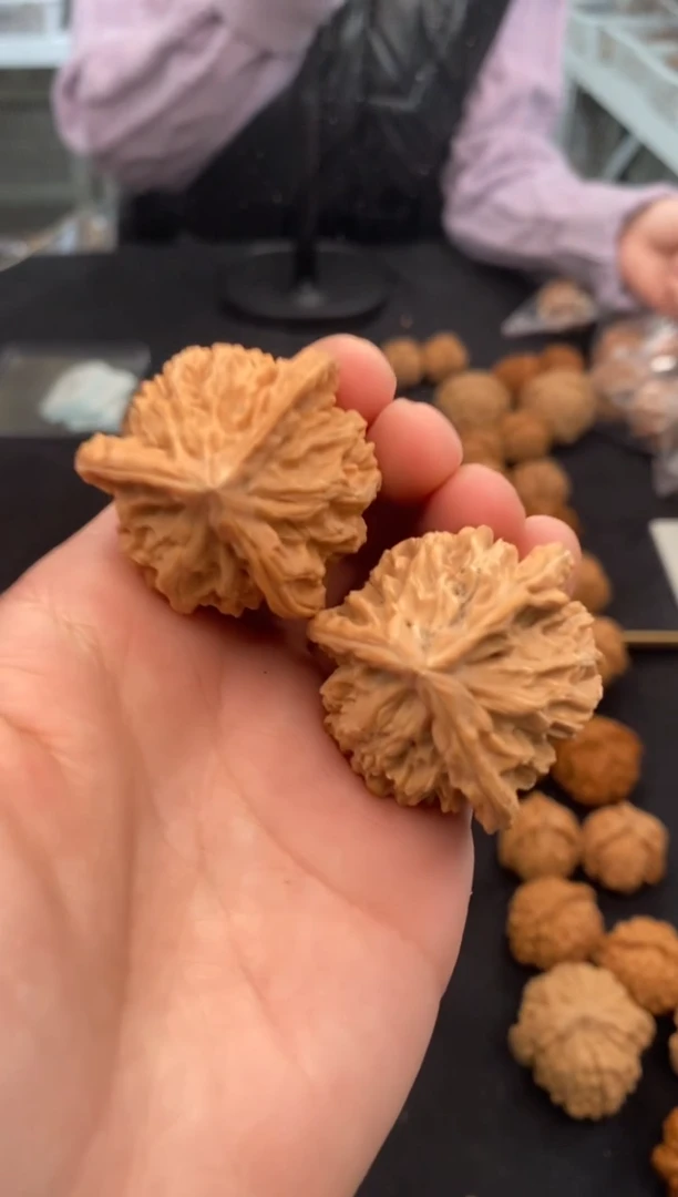 【闪购商品】文玩核桃把件盘山奔35-t857