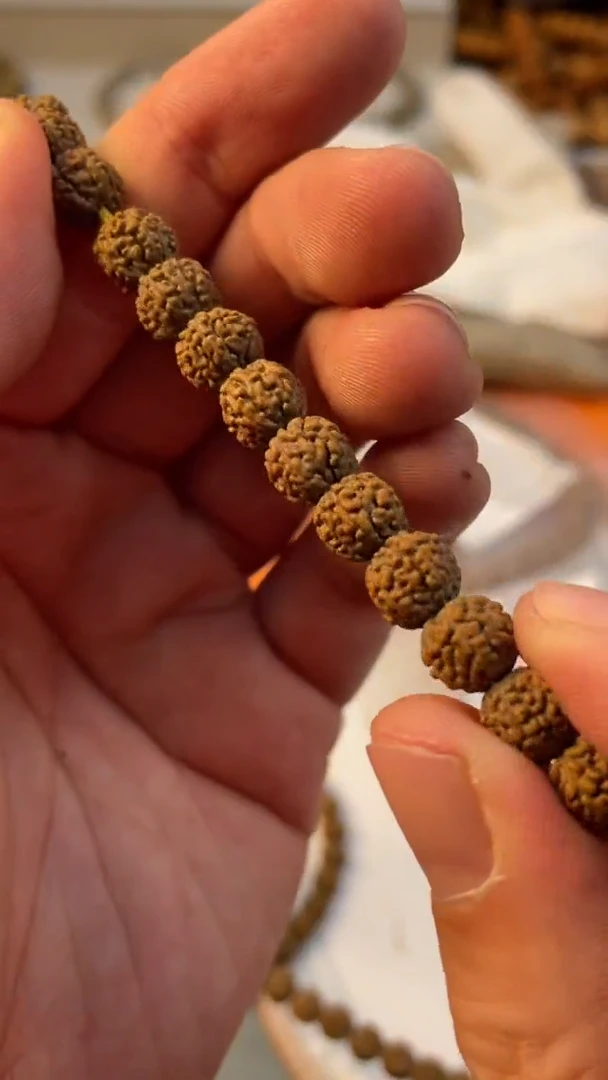 【闪购商品】金刚菩提手串密封原桩葛地利一代龙尺寸6-8