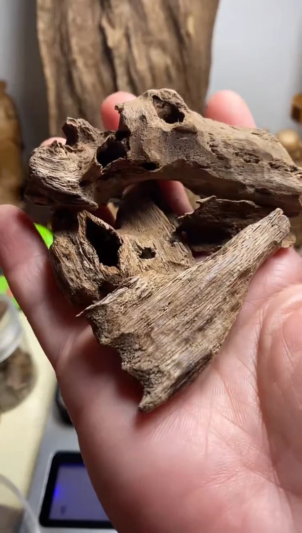 【闪购商品】沉香手把件柬埔寨沉香蚁沉12克