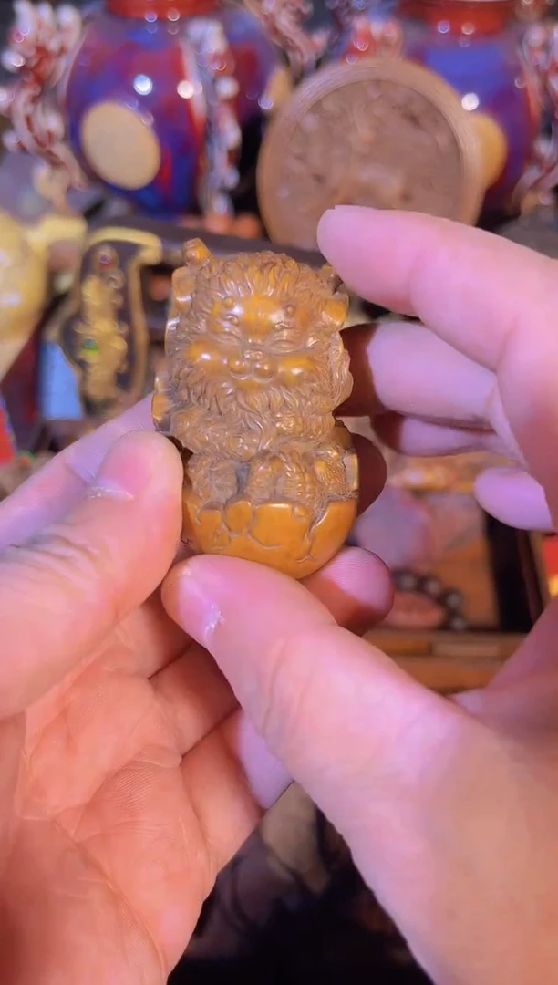 黄杨木1111111111111111111