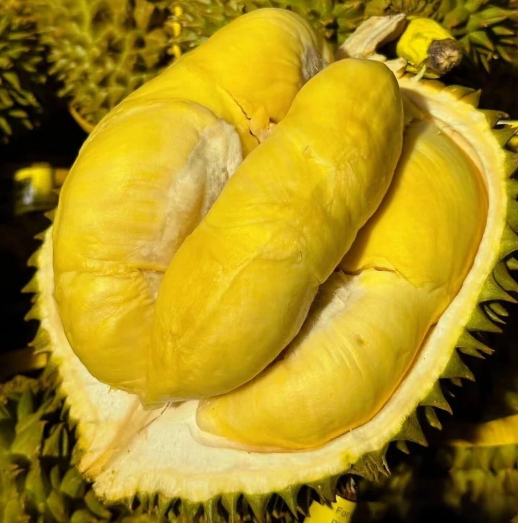 2号金凤一号纯果肉【新鲜纯果肉金枕榴莲核小】（两斤一拍1kg）湛江同城配送榴莲同城配金枕泰国