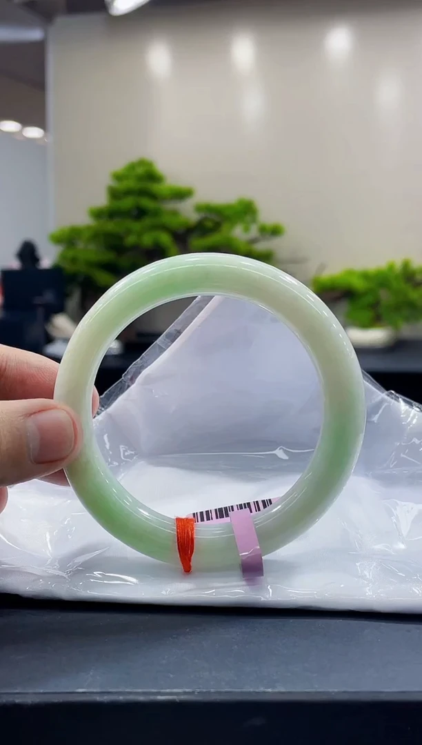 未镶嵌手镯翡翠11