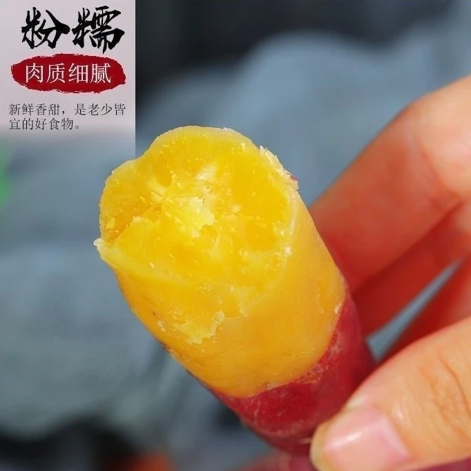 正宗临安天目山小香薯小红薯黄心板栗红薯香甜富硒海南沙地红蜜薯