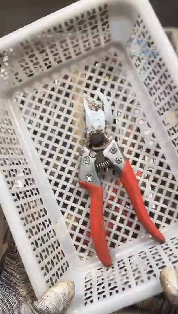 ?****e麻嘎子工具闪购链接一物一拍