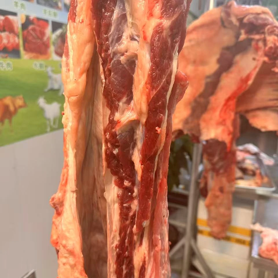 内蒙古呼伦贝尔 草饲小黄标新鲜牛腩肉5斤