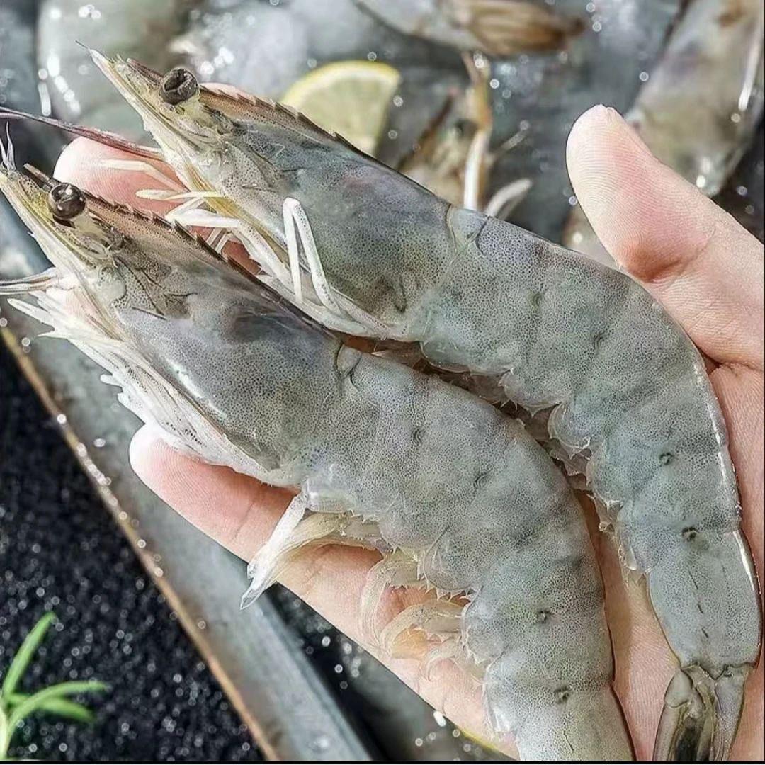 大号新鲜海洋大虾4斤 盒装发货（1斤15-25只）