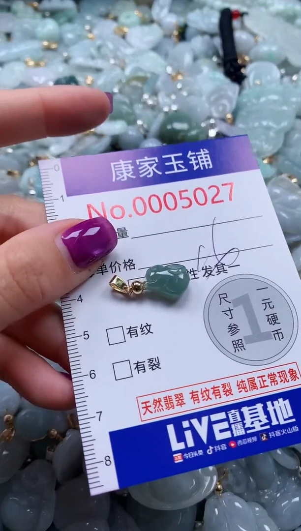 颈饰未镶嵌翡翠5027