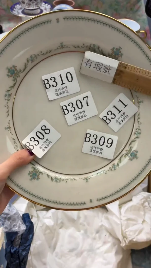 瓷片       B311