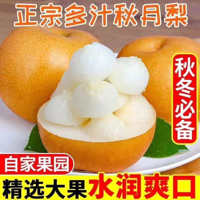正宗重庆巫山秋月梨现摘现发薄皮脆甜多汁新鲜应季水果
