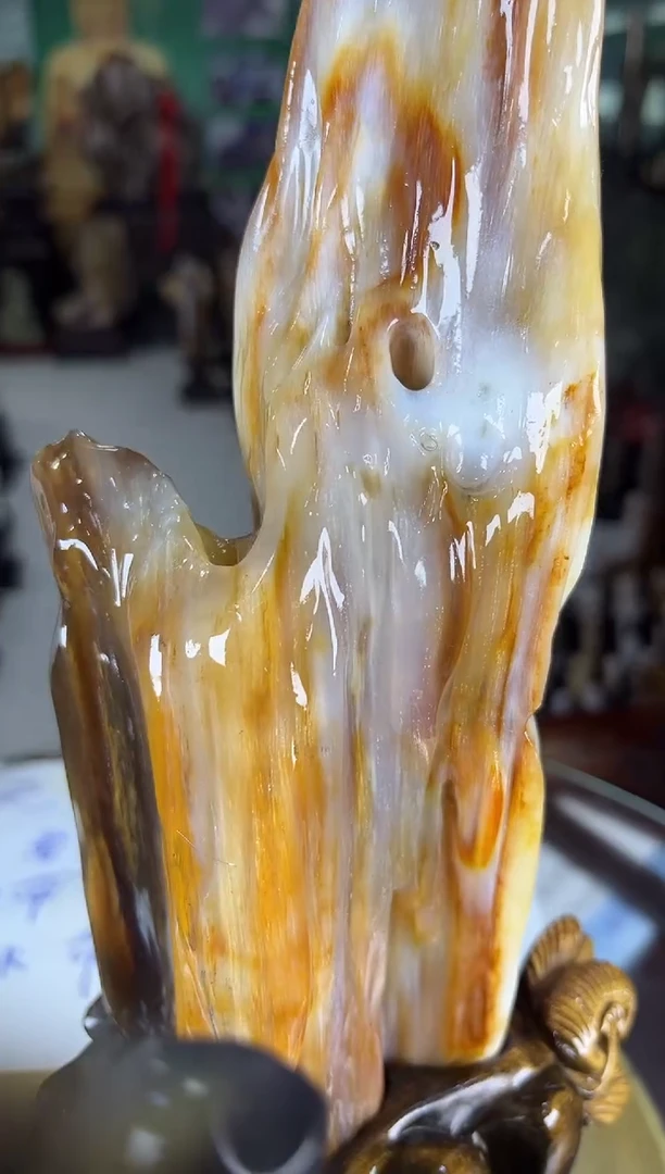 未镶嵌珠宝奇石硅化玉缅甸天然树化玉精品摆件