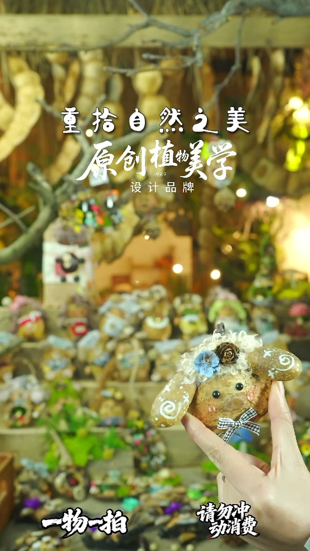 香榧木豆荚娃娃一物一拍