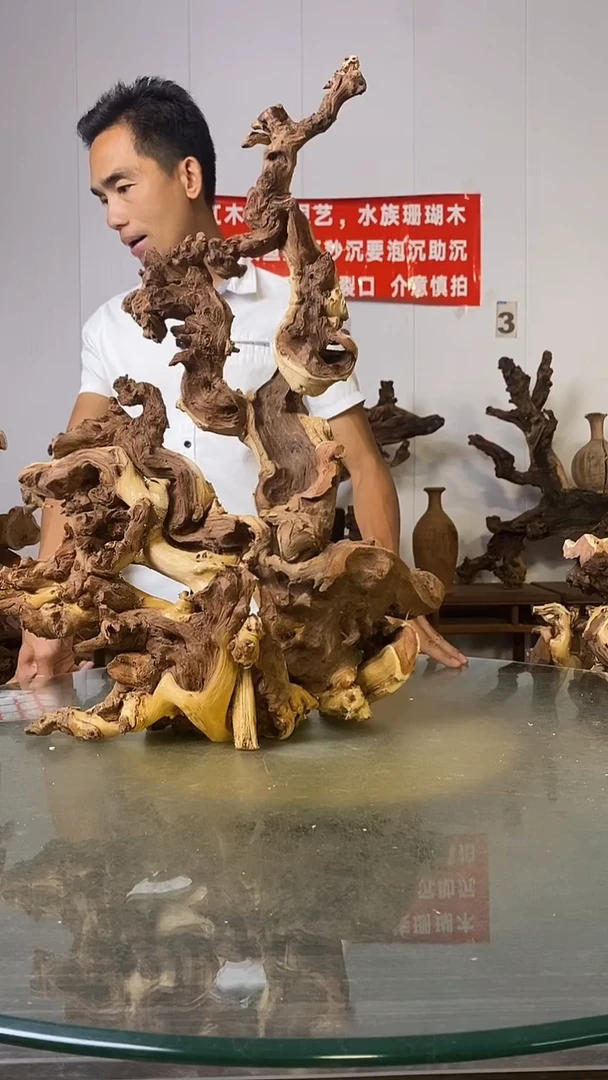 香榧木弹**痕金丝红木   羊蹄甲