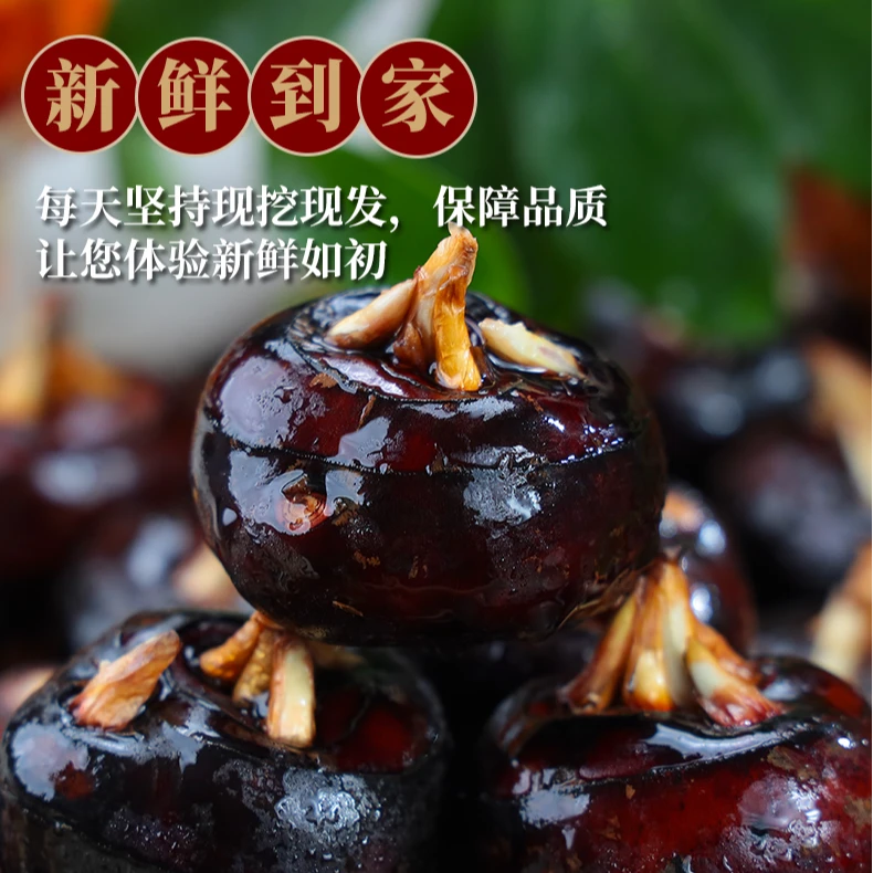 广西荔浦马蹄荸荠脆嫩多汁现挖现发带泥发货