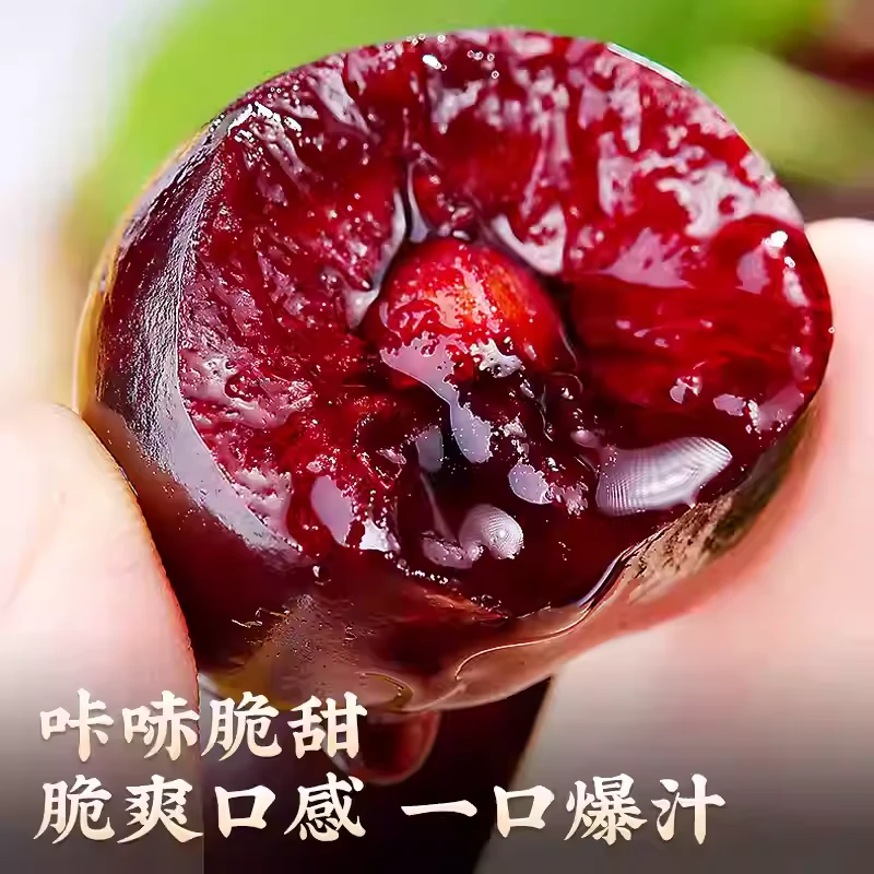 智利桑提娜空运2J-4J直达应季水果鲜脆多汁内附果径卡800g