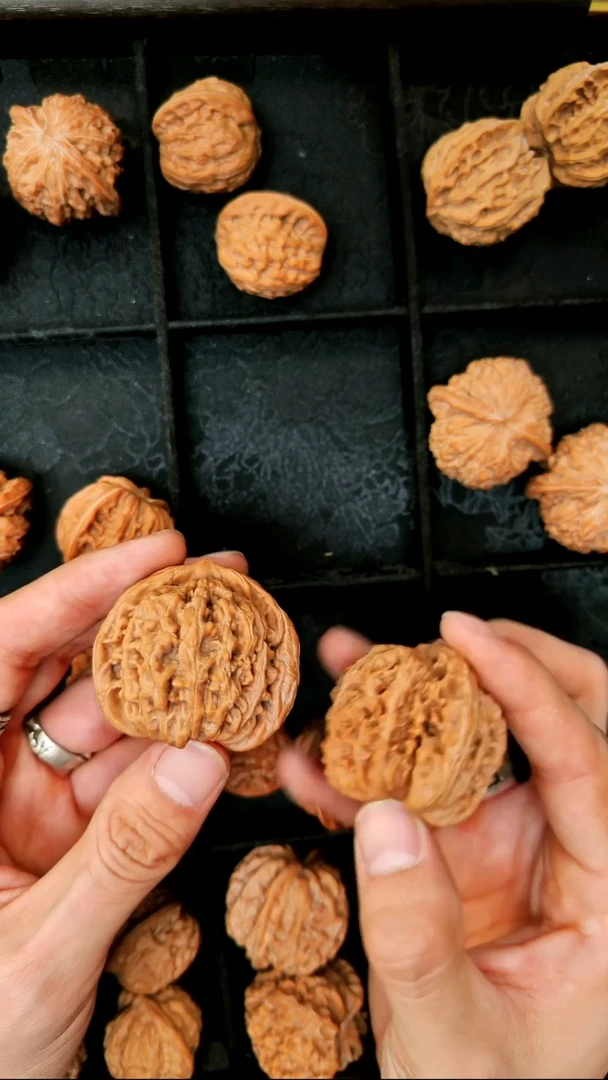 把件文玩核桃45楼王