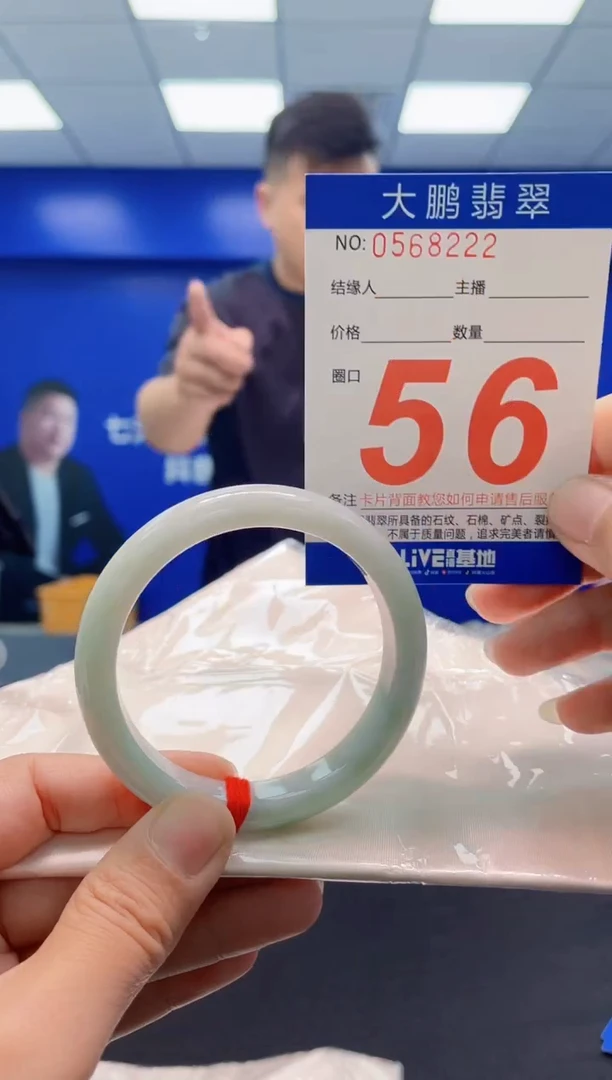 未镶嵌手镯翡翠AAAAAAAAA