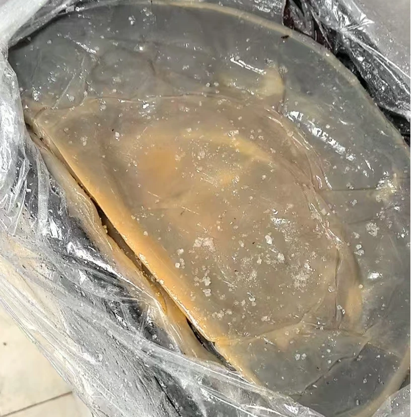 【年终福利】野生小皮子碎皮皮子海蜇