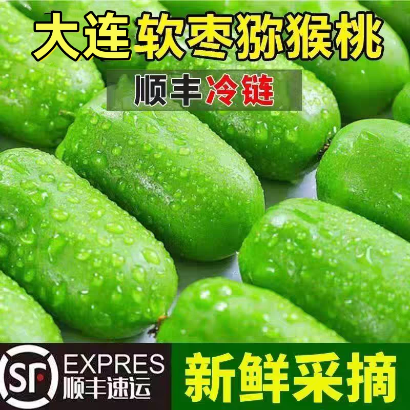 【顺丰包邮】大连软枣猕猴桃树熟奇异莓狗枣子香甜多汁现摘现发长型