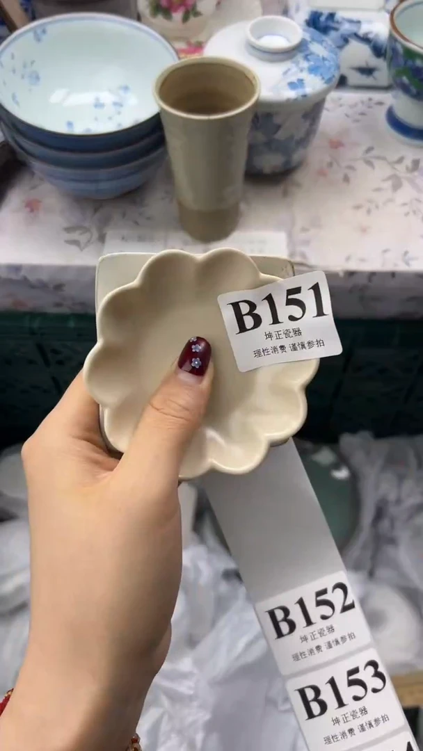 瓷片          B151