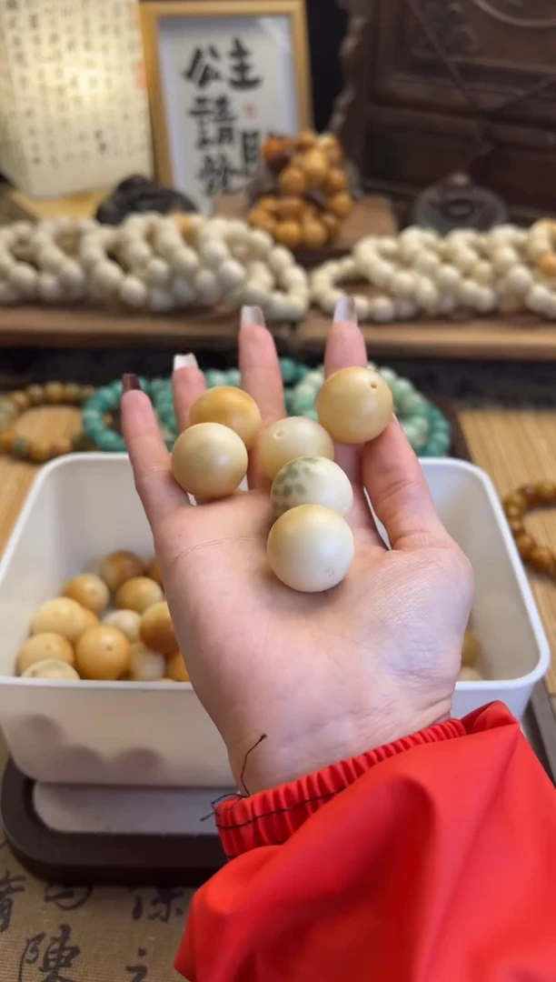 【闪购商品】菩提根/象牙果手串卡23圆珠6颗默认瑕疵福利537