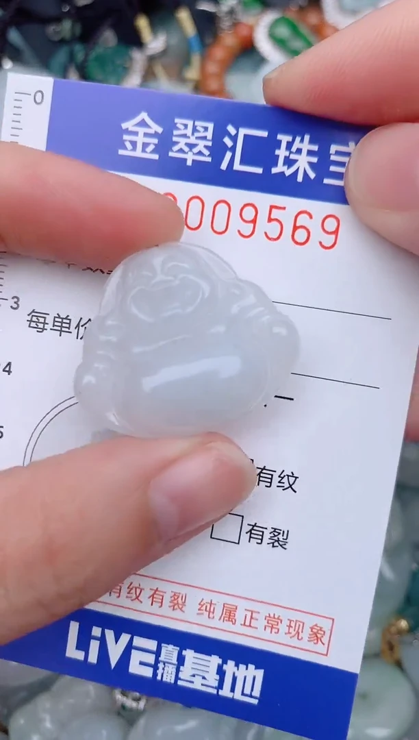 翡翠未镶嵌颈饰9569