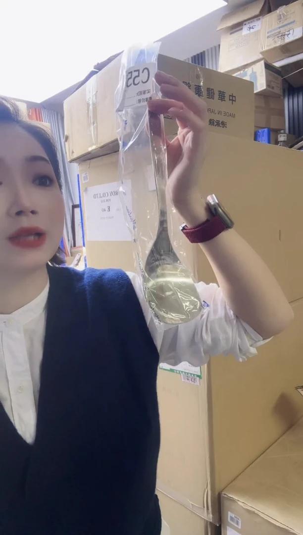 瓷片进口家用百货柳宗理分餐勺C552