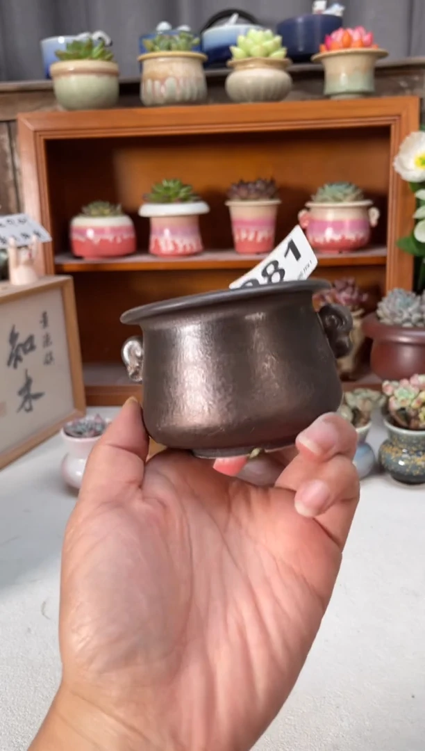 瓷片281知木小芳花盆编号