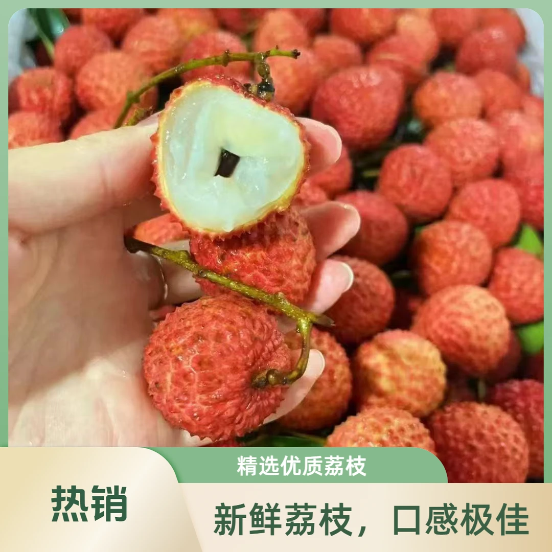 桂味荔枝2.5斤左右装一提