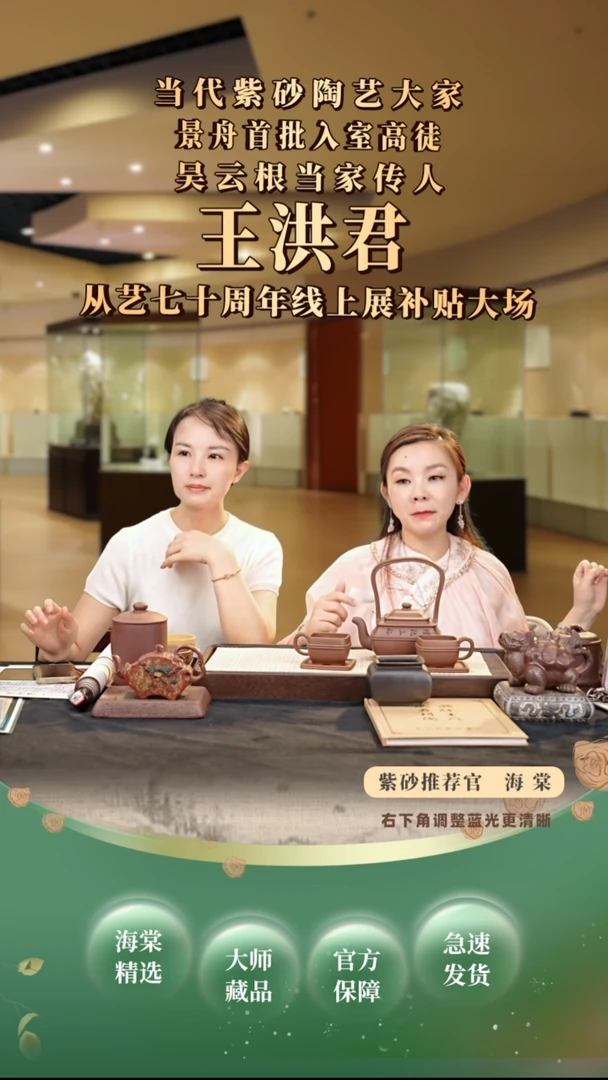 茶壶紫砂WHJ玉带提梁套组