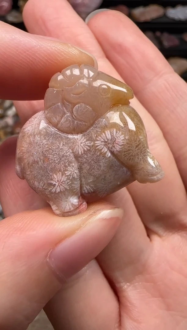 硅化珊瑚（珊瑚玉）未镶嵌颈饰386