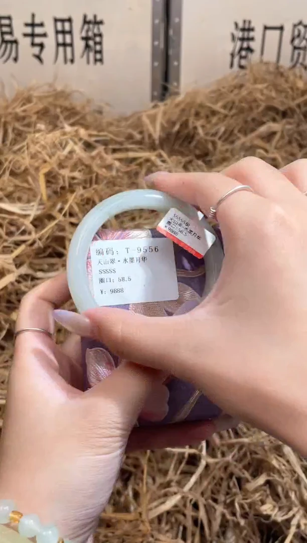 未镶嵌手镯石英质玉T9556Z