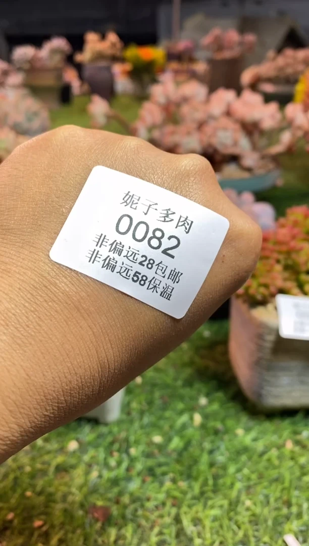 【闪购商品】0082a