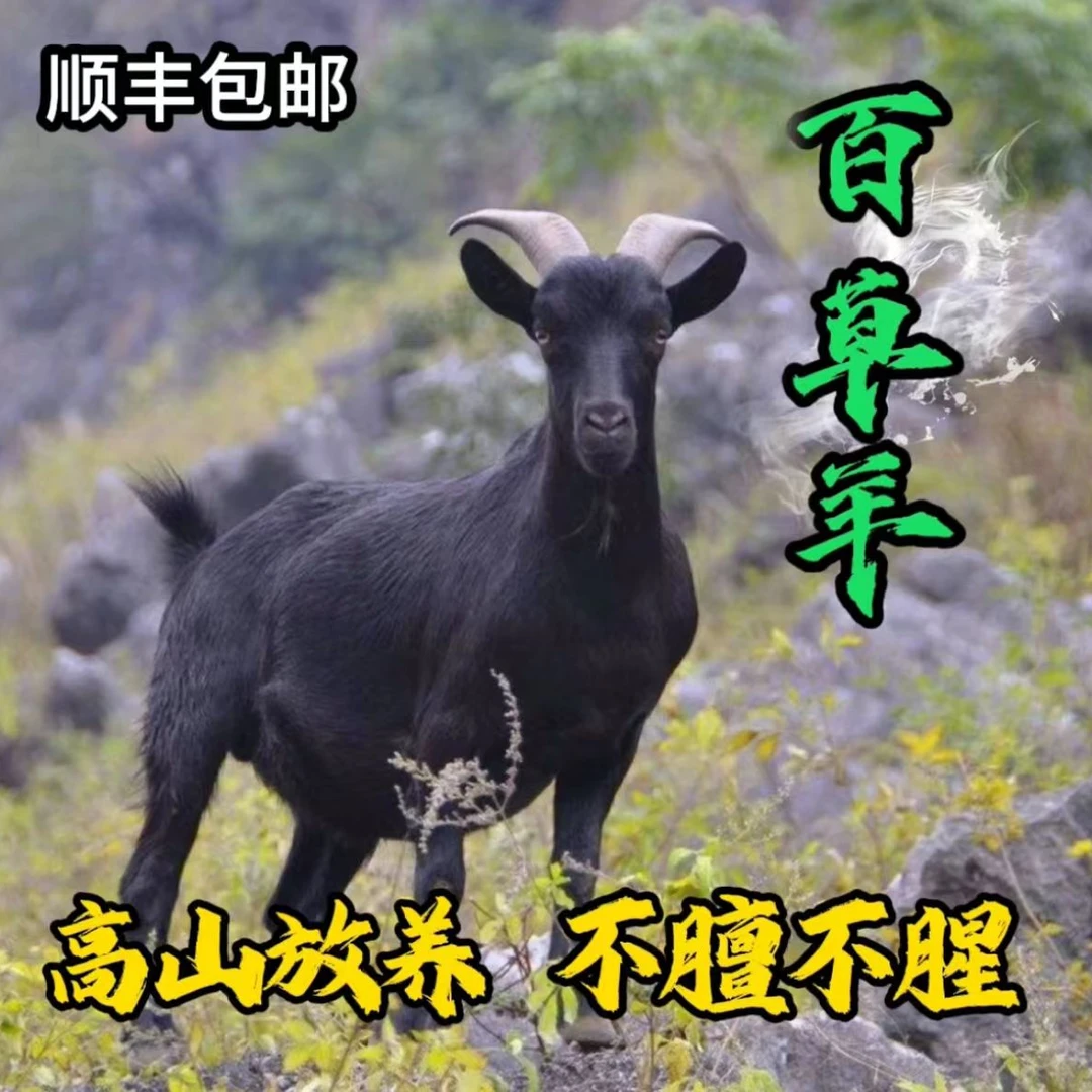 一称一拍  小耳朵跑山羊肉顺丰包邮