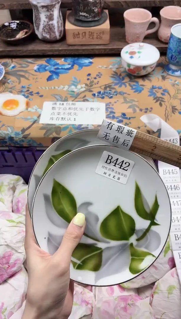 瓷片A***i                B442