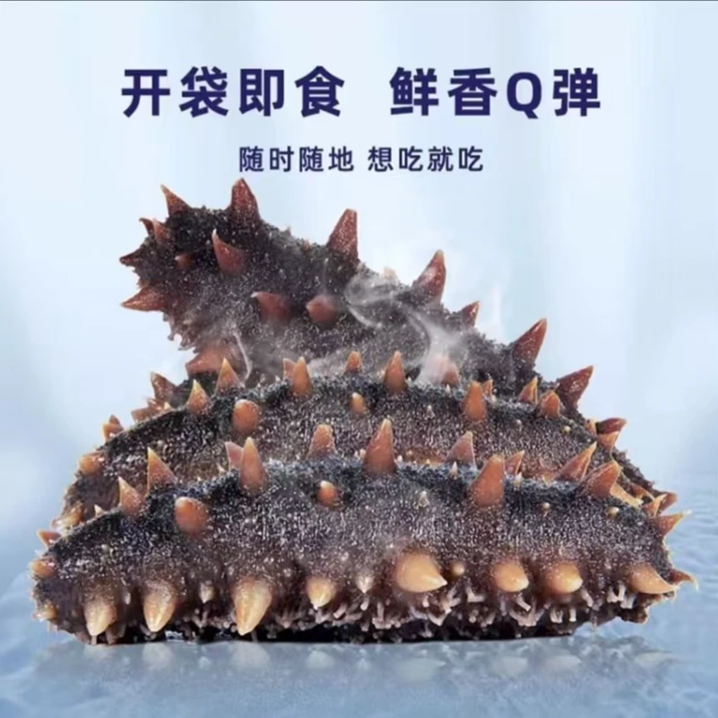 【中秋节福利】高品质鲜食海参 Q弹筋道 独立包装 深海海参滋补营养