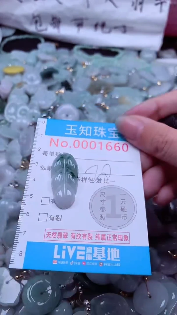 翡翠未镶嵌吊坠(不含链)1660