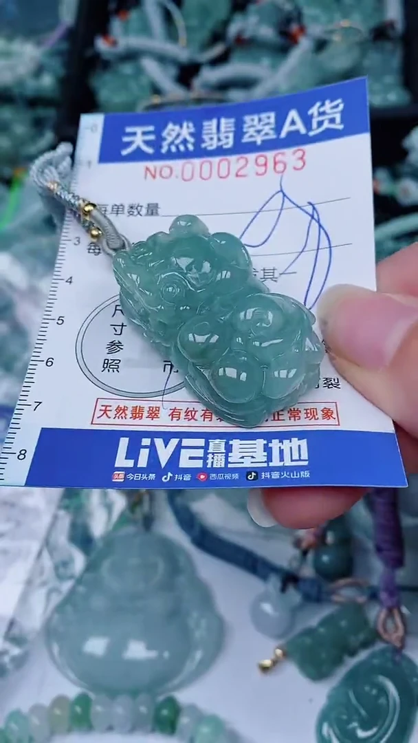 翡翠未镶嵌颈饰00002963
