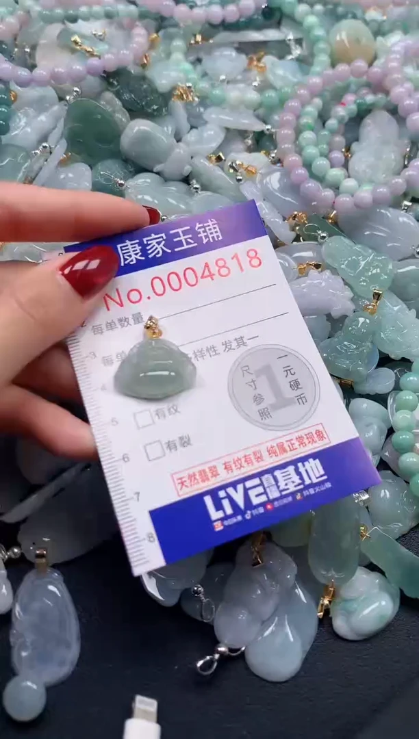 颈饰未镶嵌翡翠4818