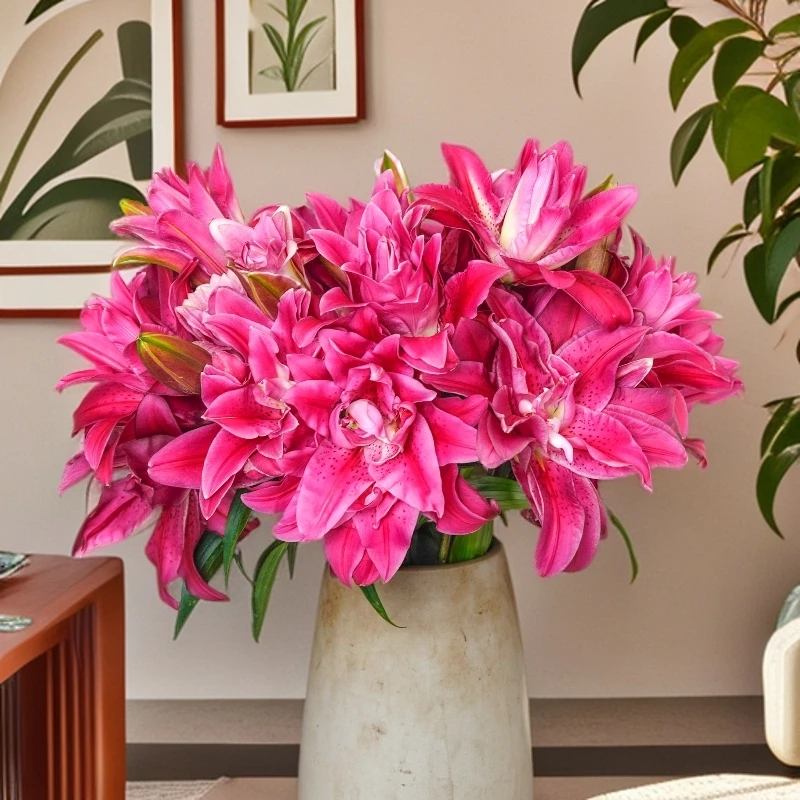 【植迷专属】玫瑰夫人 稀有重瓣香水百合小众精致家居插花鲜花