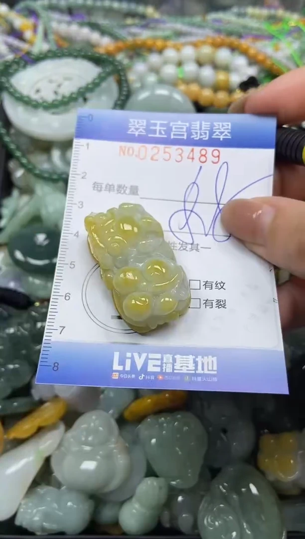 颈饰未镶嵌翡翠闪购C0253489